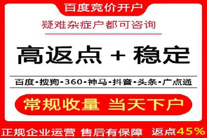百度竞价广告投放的ROI优化：经典案例分享